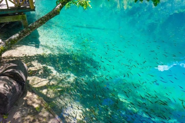 微信截图_20250816110510