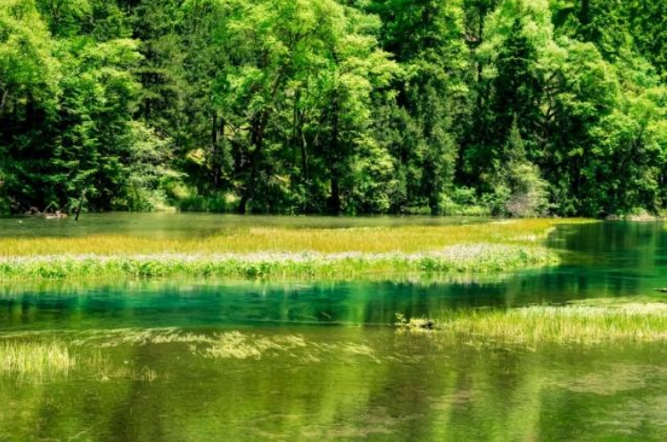 微信截图_20250816110701