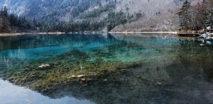 微信截图_20250816111320