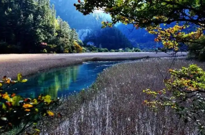 微信截图_20250816111501