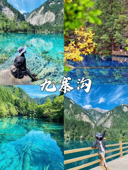 微信截图_20250816141756