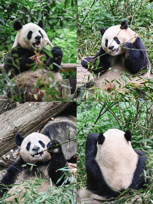 微信截图_20250816141939