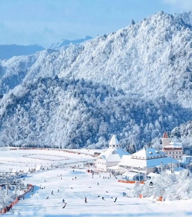 微信截图_20250816162649