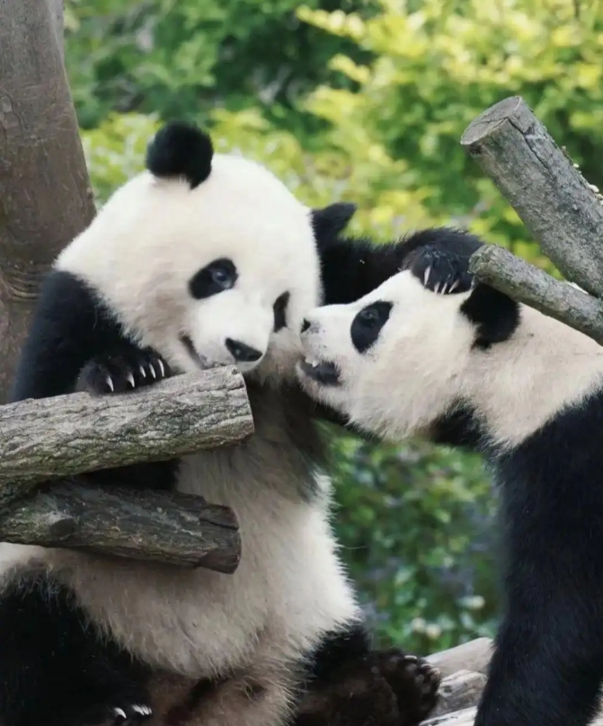 微信截图_20250816162751