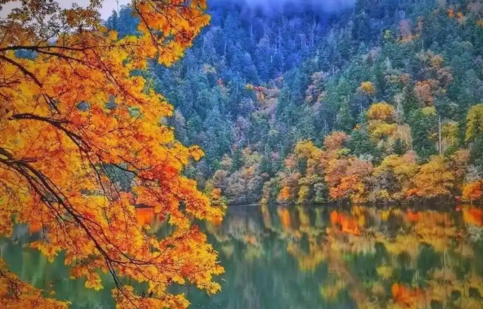 微信截图_20250816162855