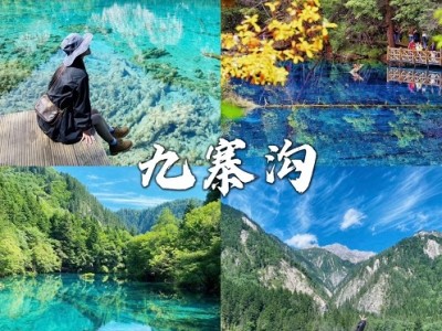 全天游览九寨沟景区，九寨沟沟口